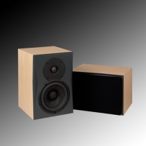 InRoom Silver MiniMonitor