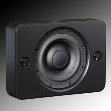 OnWall Bronze SlimSub Encl w/RackAmp 350 DSP