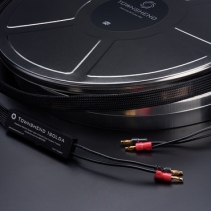 Townshend Audio  Isolda DCT 6