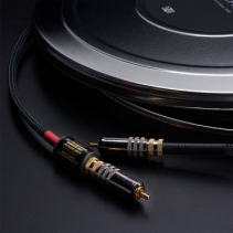 Townshend Audio  Isolda DCT 300 RCA 1
