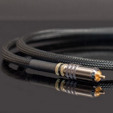 Townshend Audio  Isolda DCT Digital 5